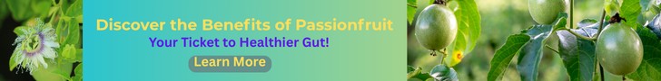 Passionfruit Gut Benefits Banner