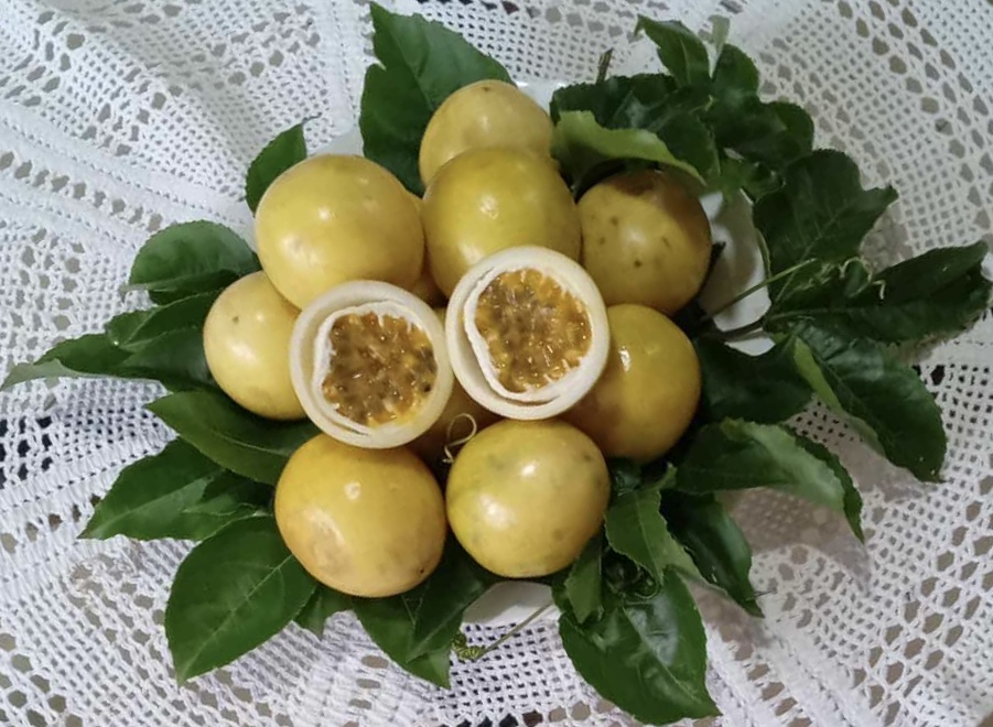 Freshly harvested yellow passionfruit piled in baskets under warm sunlight
